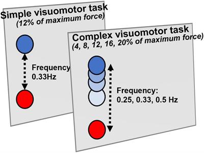 Changes in excitability and GABAergic neuronal activity of the primary somatosensory cortex after motor learning